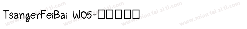 TsangerFeiBai W05字体转换